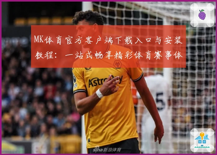 MK体育官方客户端下载入口与安装教程：一站式畅享精彩体育赛事体验